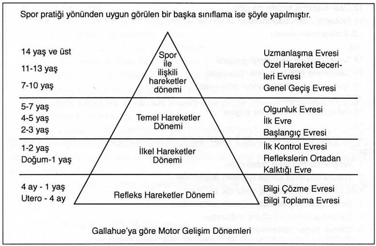 Ait Bir Geliaÿme Veya Katka Yok